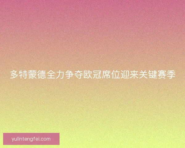 多特蒙德全力争夺欧冠席位迎来关键赛季