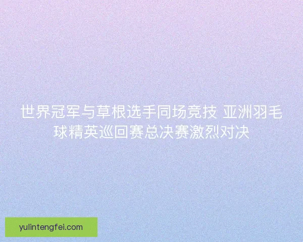 世界冠军与草根选手同场竞技 亚洲羽毛球精英巡回赛总决赛激烈对决