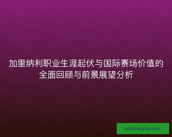 加里纳利职业生涯起伏与国际赛场价值的全面回顾与前景展望分析